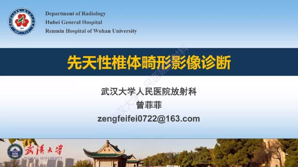 【PPT】先天性椎体畸形影像诊断