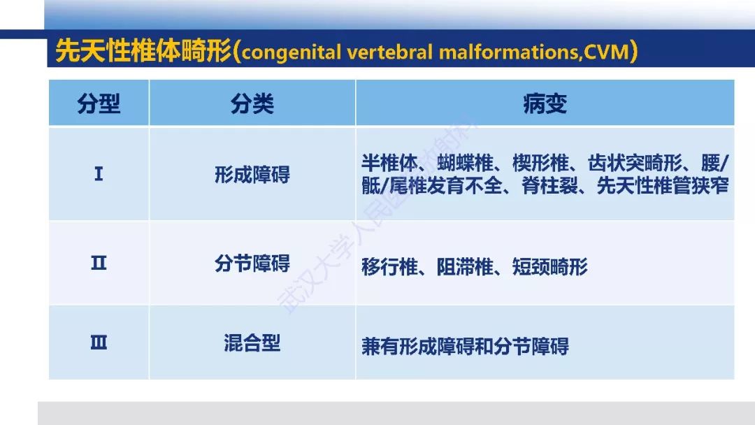 【PPT】先天性椎体畸形影像诊断