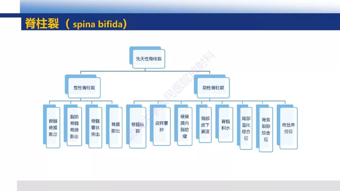 【PPT】先天性椎体畸形影像诊断