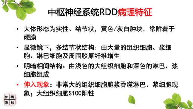 【病例】中枢神经系统窦组织细胞增生症RDD一例 【病例】中枢神经系统窦组织细胞增生症RDD一例