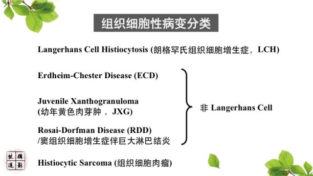 【病例】中枢神经系统窦组织细胞增生症RDD一例 【病例】中枢神经系统窦组织细胞增生症RDD一例
