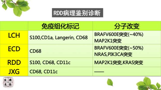 【病例】中枢神经系统窦组织细胞增生症RDD一例 【病例】中枢神经系统窦组织细胞增生症RDD一例