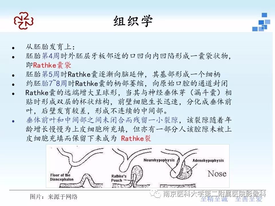 【PPT】垂体Rathke囊肿MRI表现