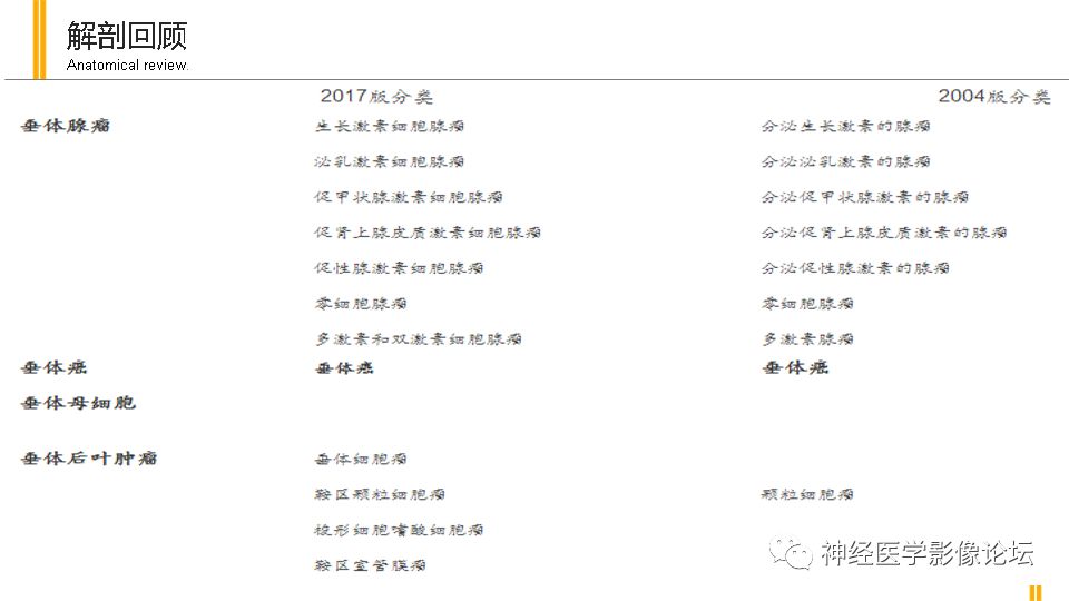 【病例】鞍旁孤立性纤维瘤/血管外皮细胞瘤1例CT及MR