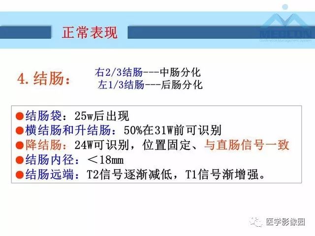 【PPT】胎儿肠梗阻：MRI表现与分析