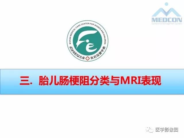 【PPT】胎儿肠梗阻：MRI表现与分析