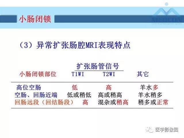 【PPT】胎儿肠梗阻：MRI表现与分析