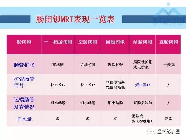 【PPT】胎儿肠梗阻：MRI表现与分析