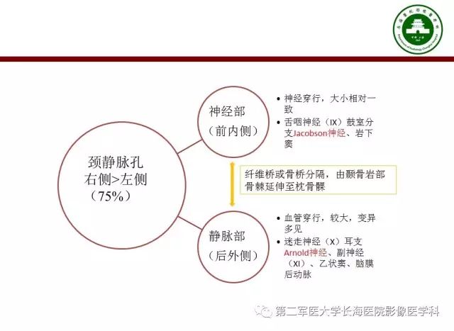 【PPT】颈静脉孔区常见病变的诊断与鉴别诊断