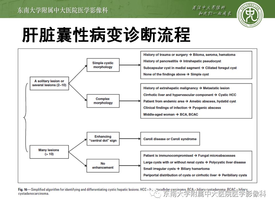 【病例】肝包虫囊肿VS胆管囊腺癌