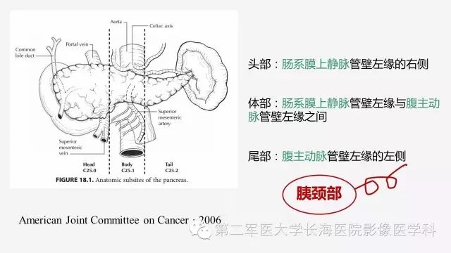 【PPT】胰腺动脉CT增强造影三维后处理与结构化报告书写
