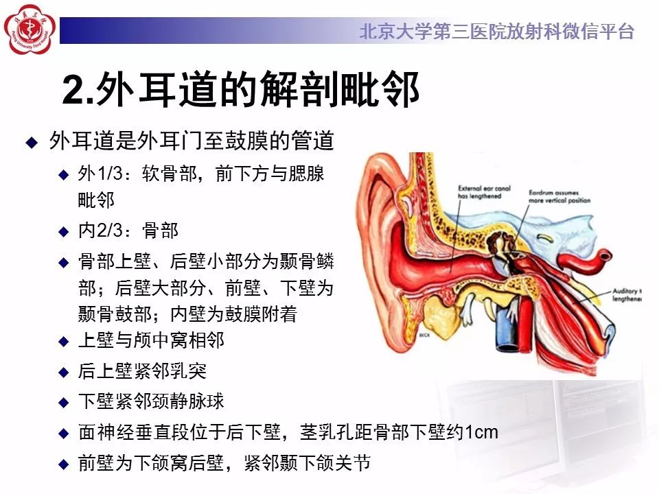 【病例】外耳道鳞癌1例CT及MR影像表现