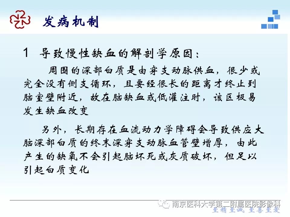 【PPT】脑白质疏松症