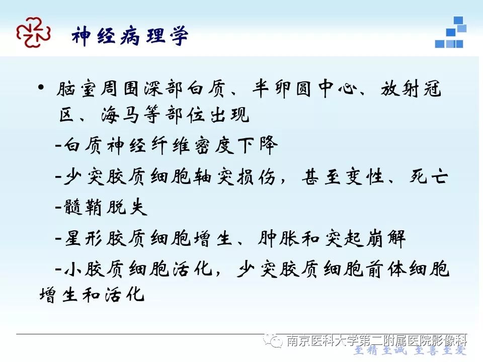 【PPT】脑白质疏松症