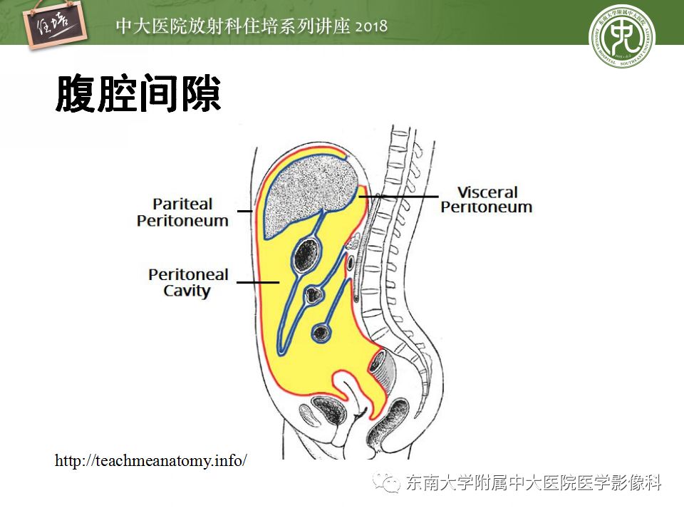 【PPT】中腹部基于器官和影像特点的鉴别诊断