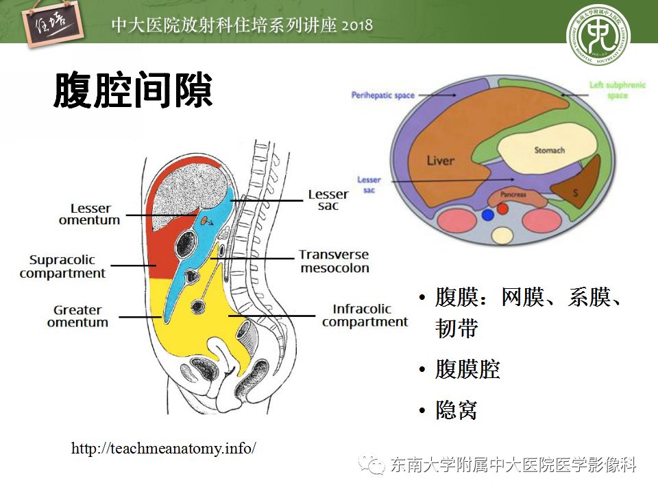 【PPT】中腹部基于器官和影像特点的鉴别诊断