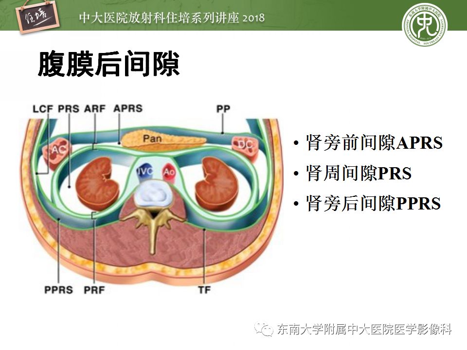 【PPT】中腹部基于器官和影像特点的鉴别诊断