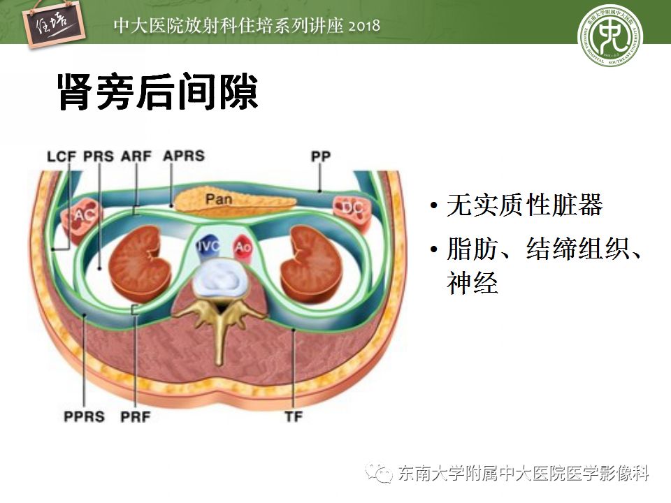 【PPT】中腹部基于器官和影像特点的鉴别诊断