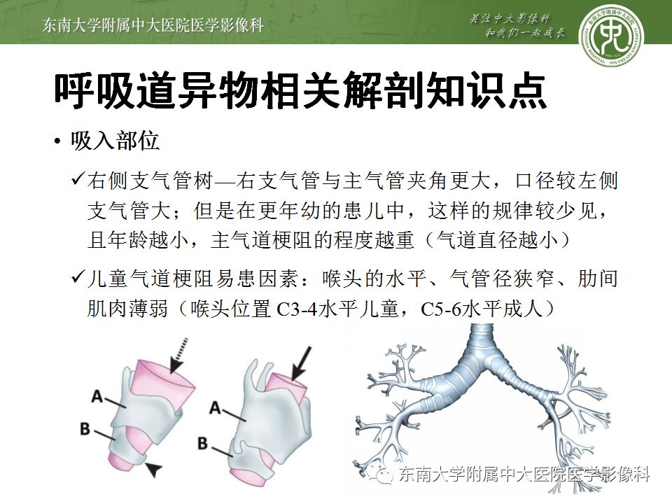 【病例】消化道及呼吸道异物4例CT