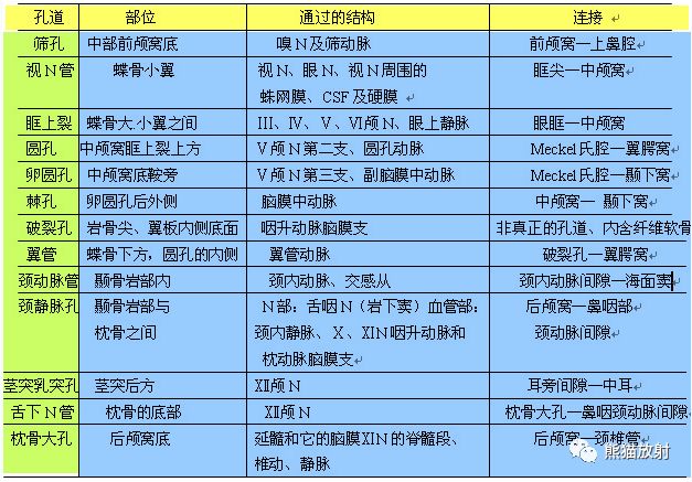 颅底孔道及内容物