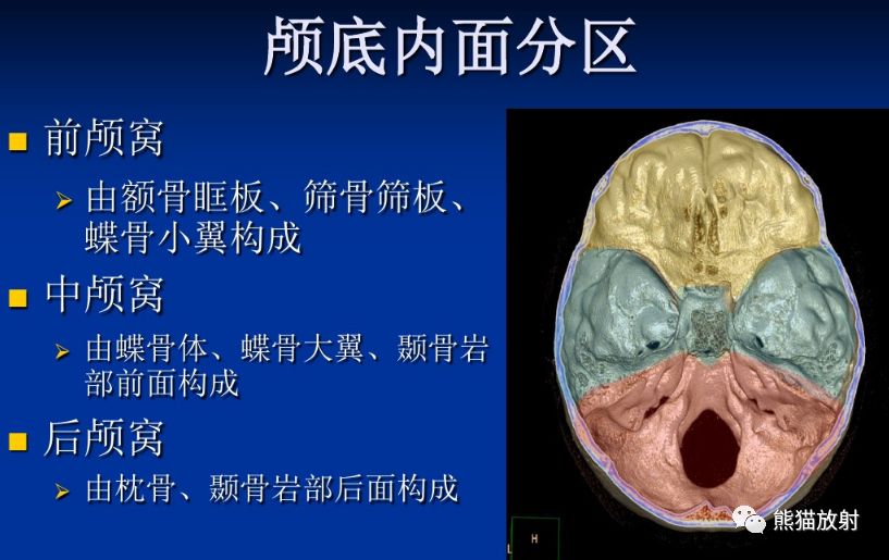 颅底孔道及内容物