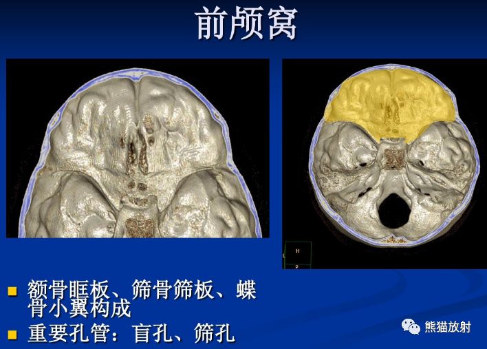 颅底孔道及内容物