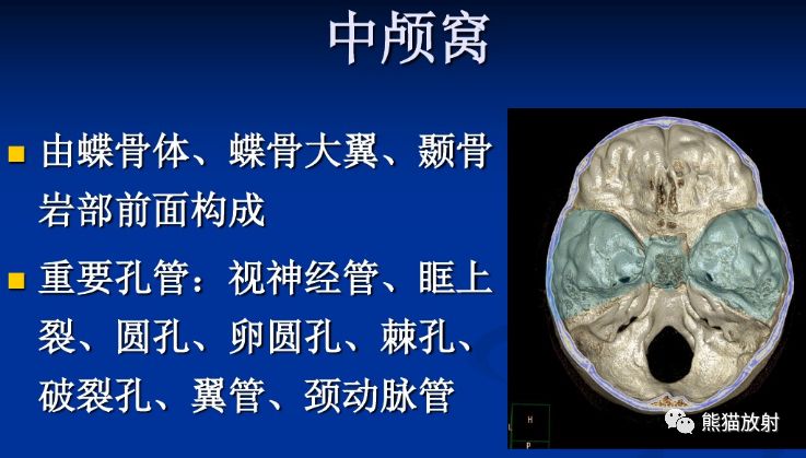 颅底孔道及内容物