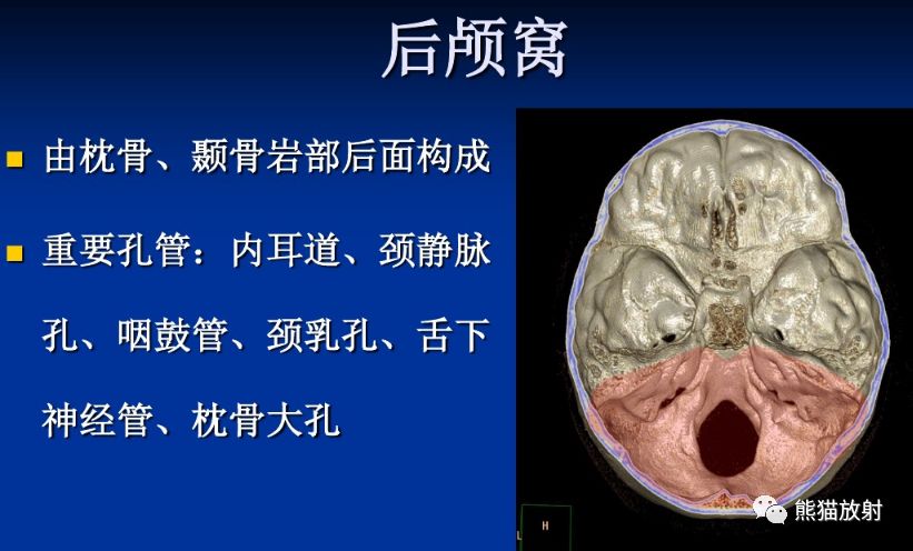 颅底孔道及内容物