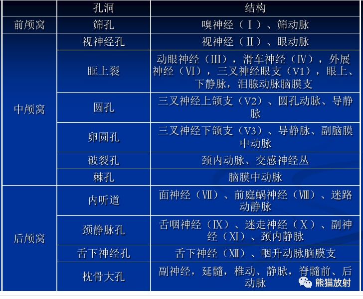 颅底孔道及内容物
