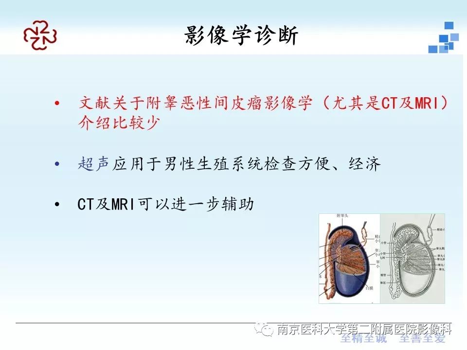 【病例】附睾恶性间皮瘤1例MR