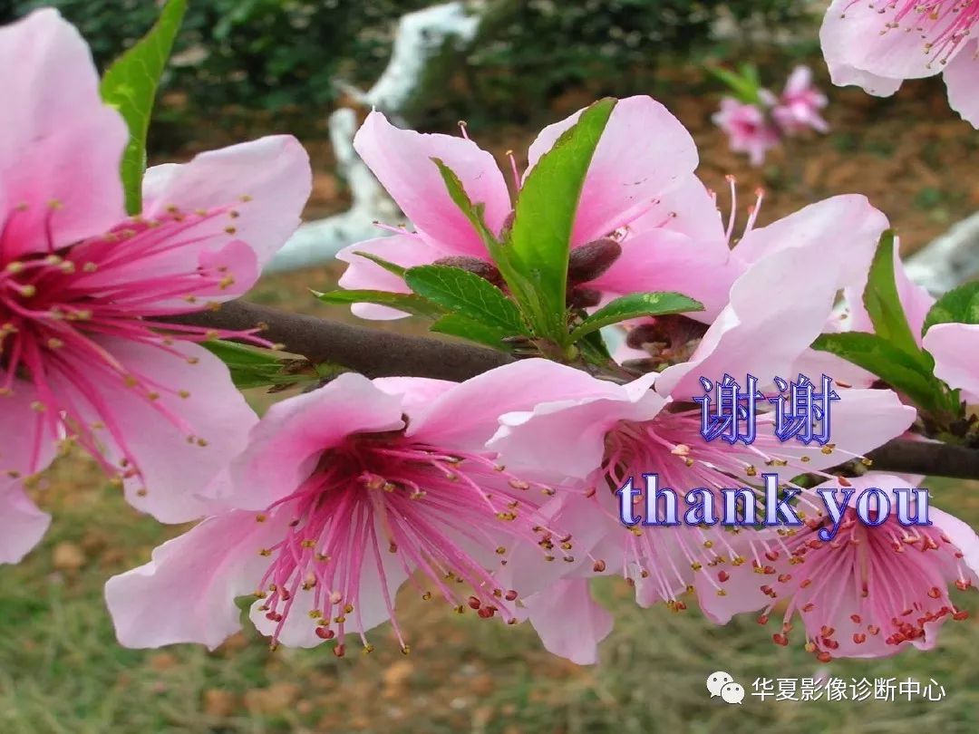 【PPT】痛风性关节炎及假性痛风