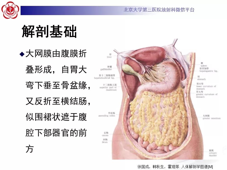 【病例】大网膜扭转1例CT影像诊断