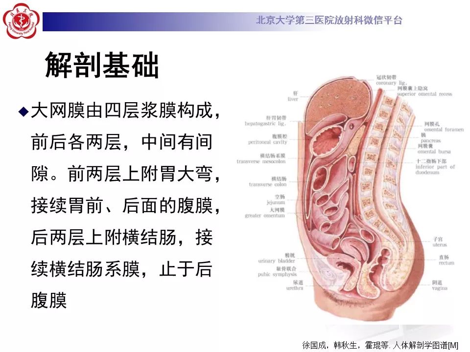 【病例】大网膜扭转1例CT影像诊断