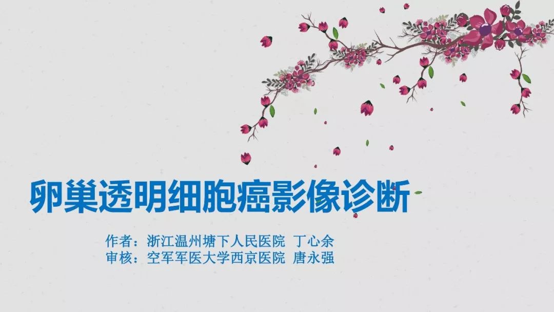 【PPT】卵巢透明细胞癌影像诊断