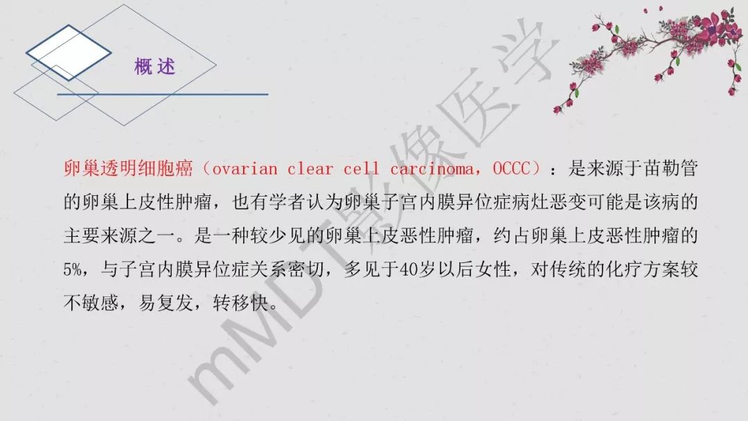 【PPT】卵巢透明细胞癌影像诊断