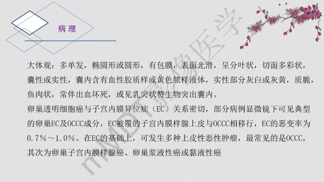 【PPT】卵巢透明细胞癌影像诊断