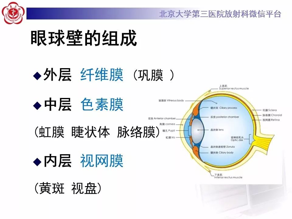 【PPT】色素膜黑色素瘤