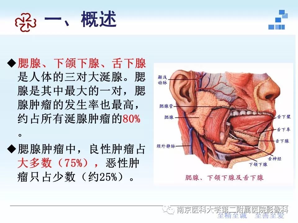 【PPT】专题读片—腮腺混合瘤的影像表现