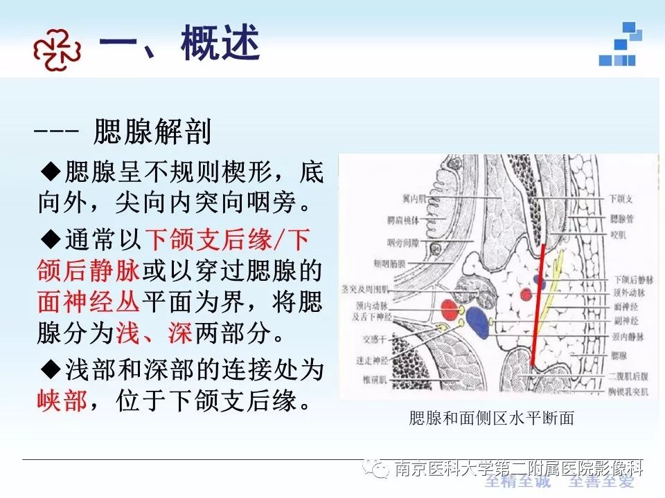 【PPT】专题读片—腮腺混合瘤的影像表现