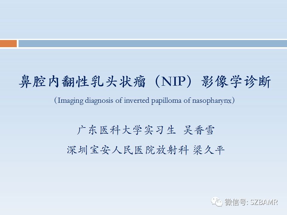 【PPT】鼻腔内翻性乳头状瘤影像学诊断