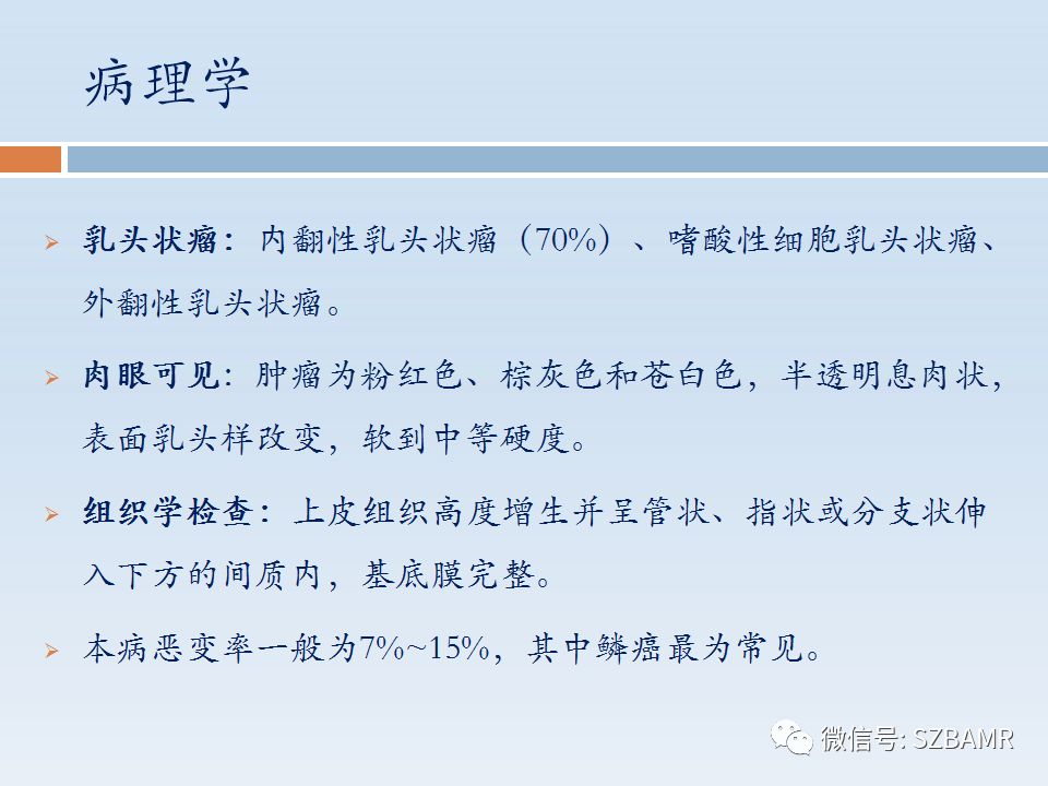 【PPT】鼻腔内翻性乳头状瘤影像学诊断