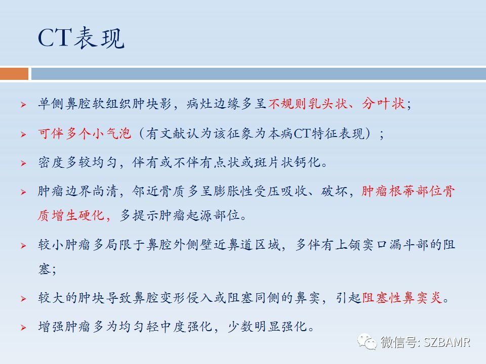 【PPT】鼻腔内翻性乳头状瘤影像学诊断