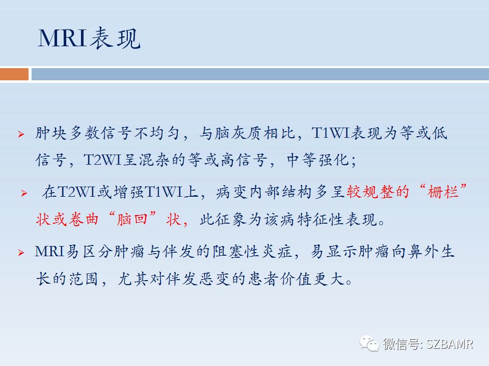 【PPT】鼻腔内翻性乳头状瘤影像学诊断