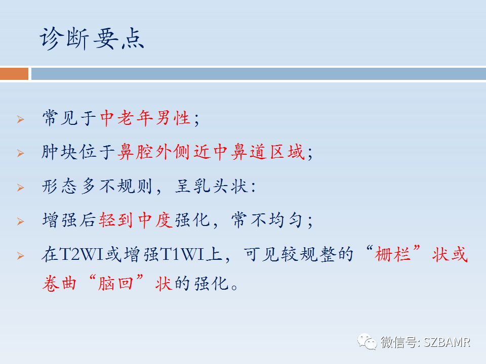 【PPT】鼻腔内翻性乳头状瘤影像学诊断