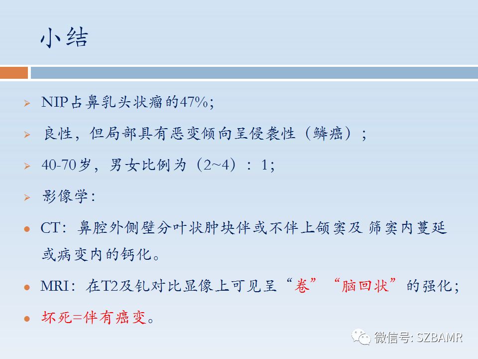 【PPT】鼻腔内翻性乳头状瘤影像学诊断
