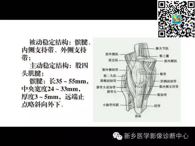 【PPT】髌骨软化症的影像诊断
