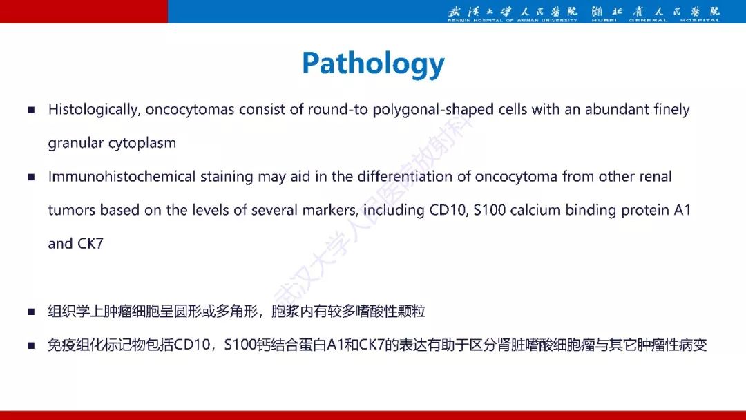 【PPT】肾脏嗜酸细胞腺瘤影像诊断