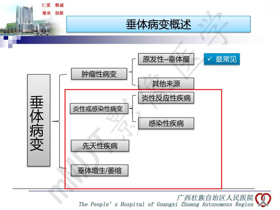 【PPT】垂体非肿瘤性病变MR诊断