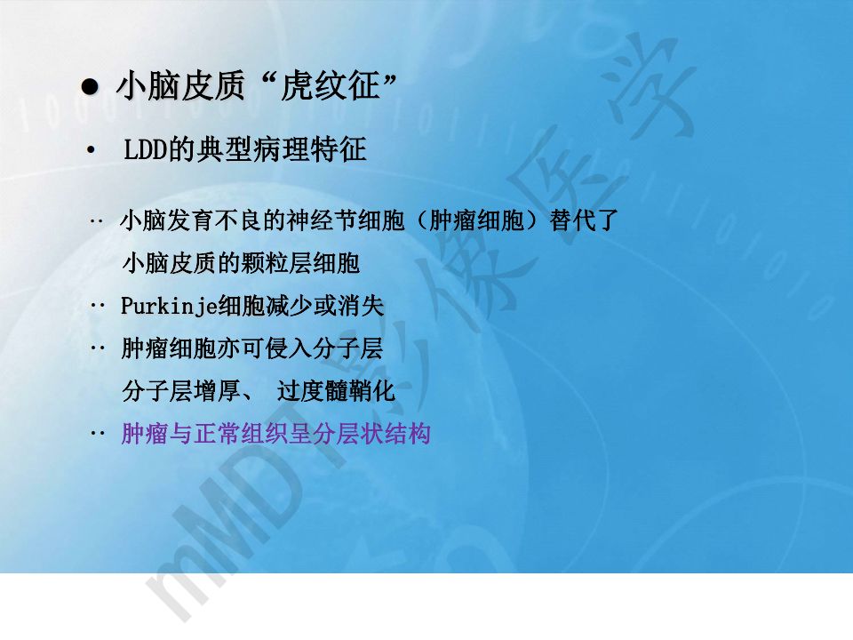 【PPT】小脑皮质“虎纹征”