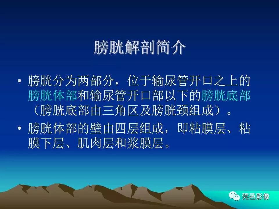 【PPT】氯胺酮相关性肝胆、泌尿系统损害的CT诊断